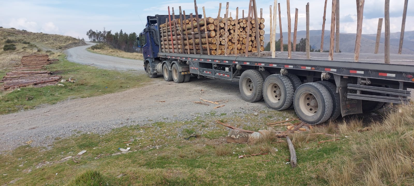 Transporte de madera de eucalipto para minería