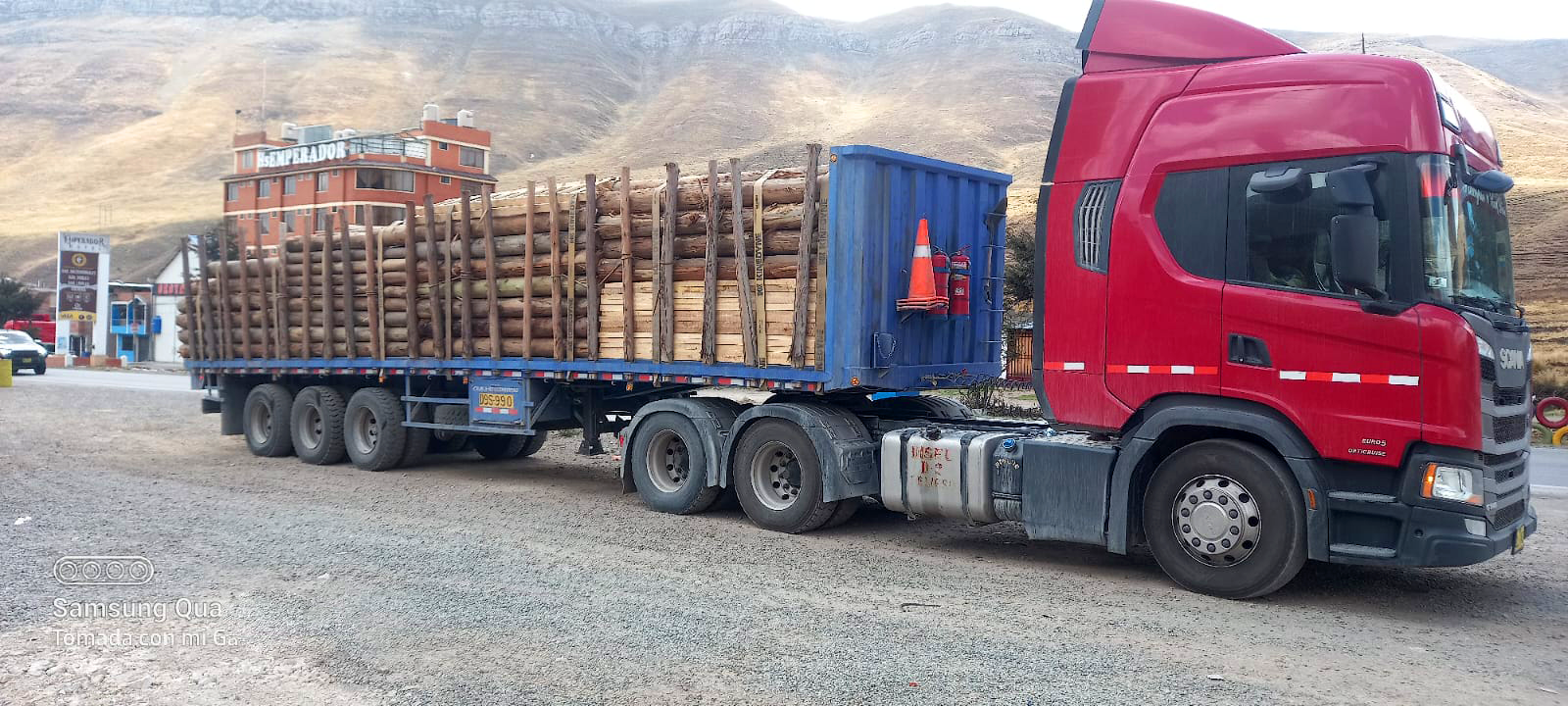 Forestal Responsable: El Ciclo Completo de la Madera de Eucalipto desde la Plantación hasta la Mina